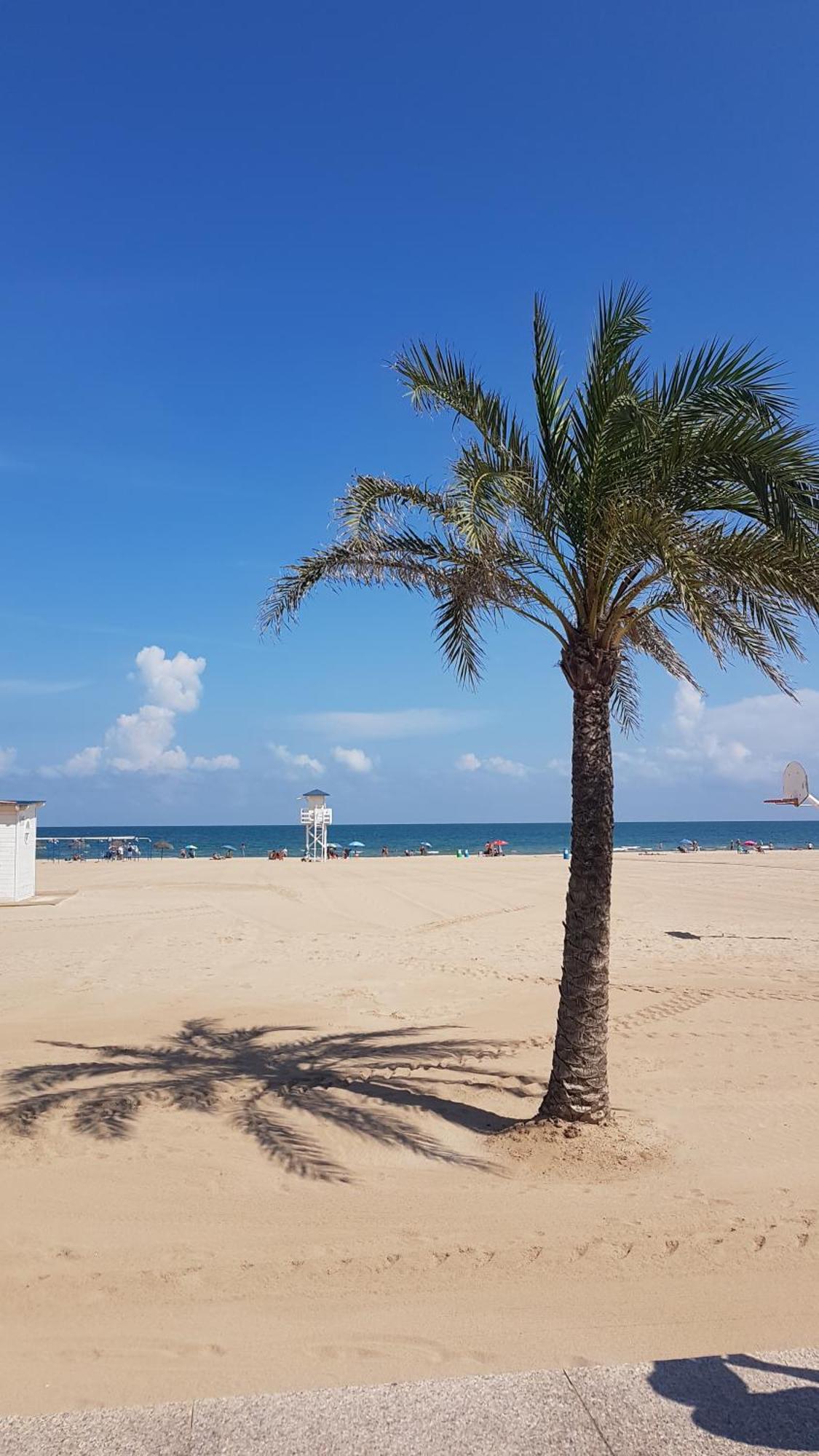 Hola Gandia Lejlighed Eksteriør billede